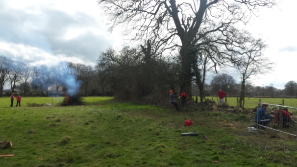 Clearing and burning trees and shrubs from the dry stone wall being rebuilt on Claverton Down.